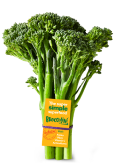 Broccolini SML