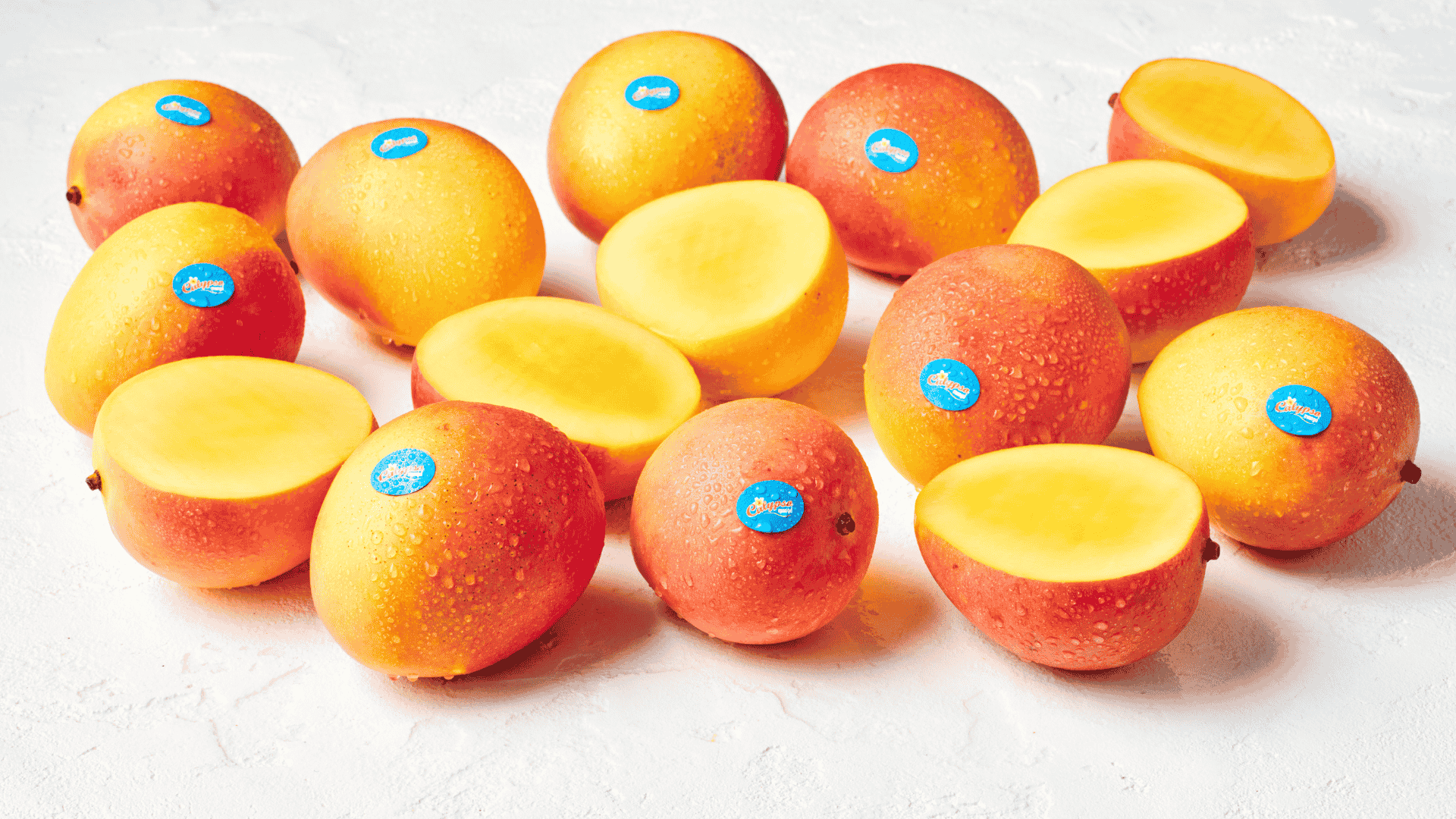 Calypso cut 1920x1080