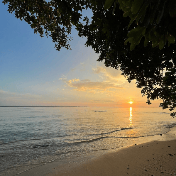 Calypso website images (600 x 600 px) (3)